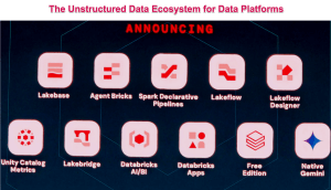 Databricks Anomalo Ataccama and IBM aim to make the line blurred between structured and unstructured data
