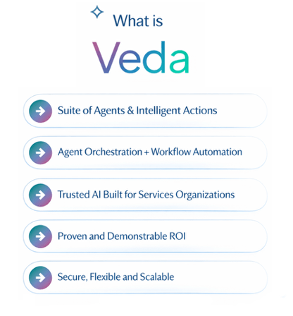 Graphic illustrating the attributes of Certinia Veda.